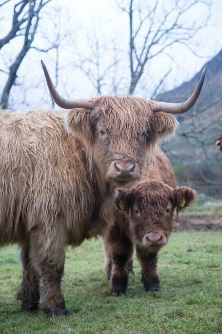 Inverlael Farm Cottages Luaran gambar